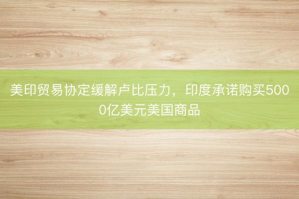 美印贸易协定缓解卢比压力，印度承诺购买5000亿美元美国商品