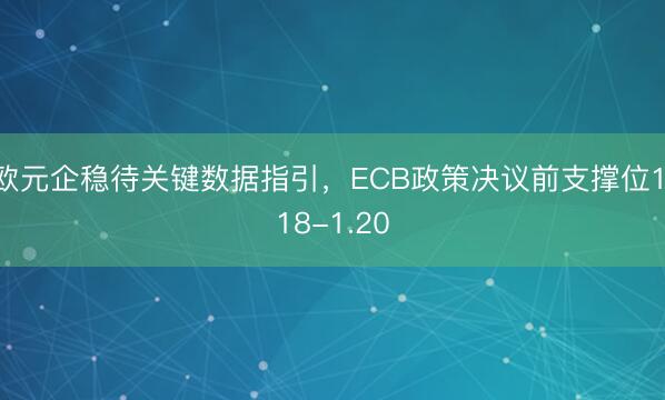 欧元企稳待关键数据指引，ECB政策决议前支撑位1.18-1.20