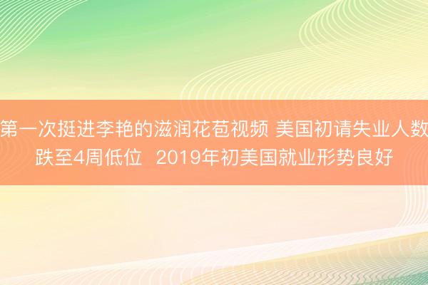 第一次挺进李艳的滋润花苞视频 美国初请失业人数跌至4周低位  2019年初美国就业形势良好
