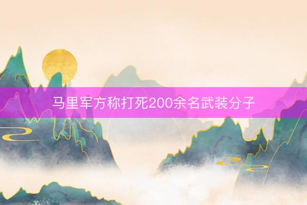 马里军方称打死200余名武装分子