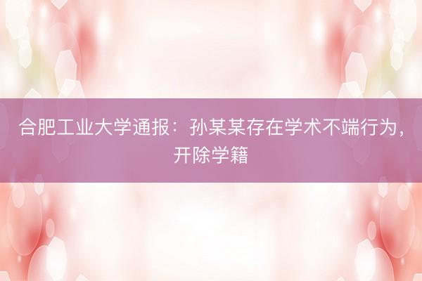 合肥工业大学通报：孙某某存在学术不端行为，开除学籍