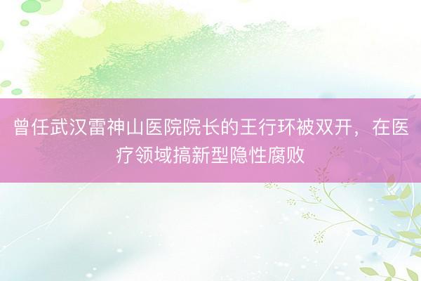 曾任武汉雷神山医院院长的王行环被双开，在医疗领域搞新型隐性腐败