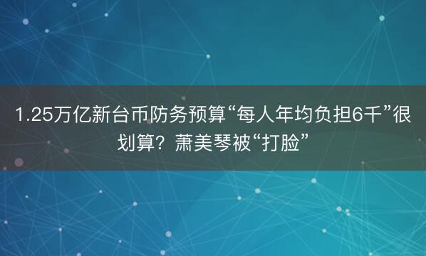 1.25万亿新台币防务预算“每人年均负担6千”很划算？萧美琴被“打脸”