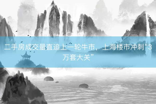 二手房成交量直追上一轮牛市,上海楼市冲刺“3万套大关”