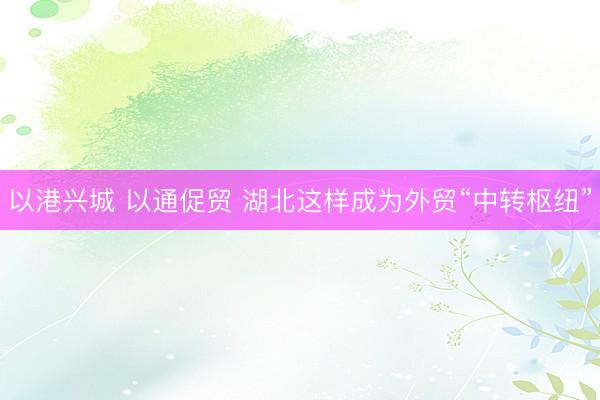 以港兴城 以通促贸 湖北这样成为外贸“中转枢纽”