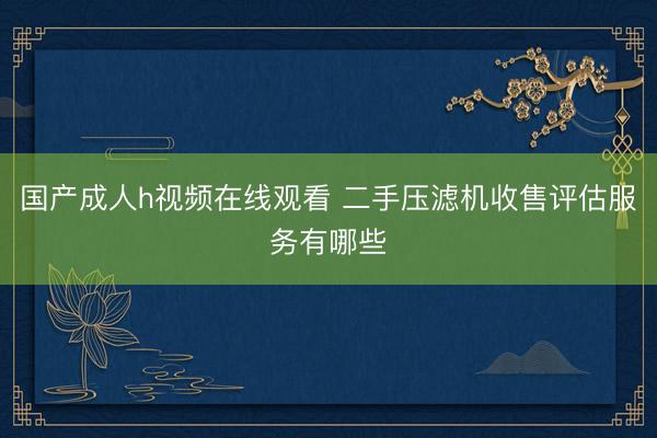 国产成人h视频在线观看 二手压滤机收售评估服务有哪些