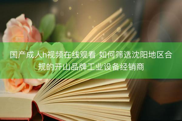 国产成人h视频在线观看 如何筛选沈阳地区合规的开山品牌工业设备经销商