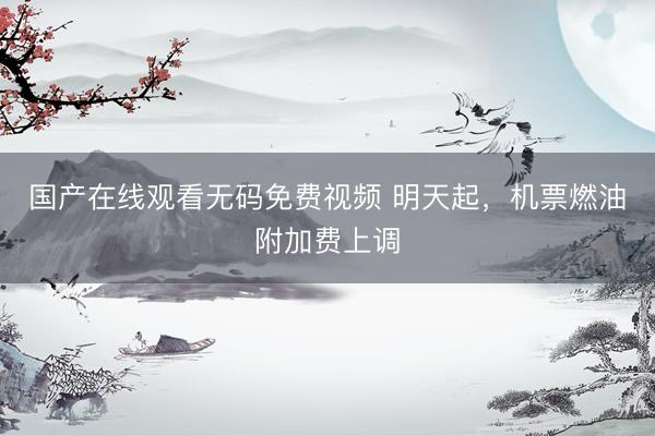 国产在线观看无码免费视频 明天起，机票燃油附加费上调