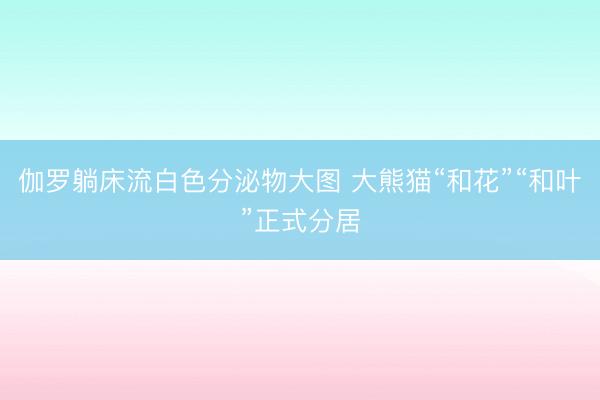 伽罗躺床流白色分泌物大图 大熊猫“和花”“和叶”正式分居