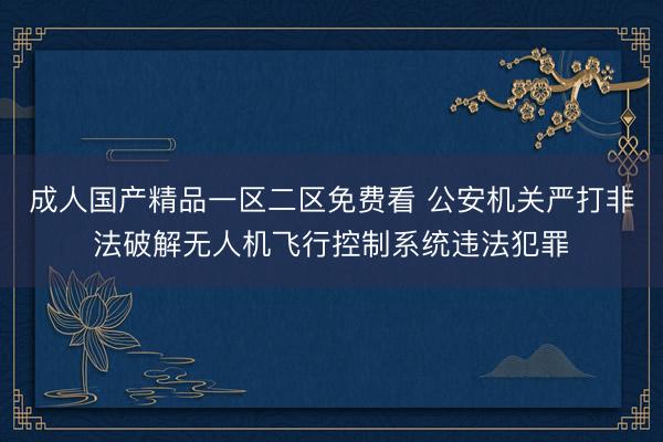 成人国产精品一区二区免费看 公安机关严打非法破解无人机飞行控制系统违法犯罪