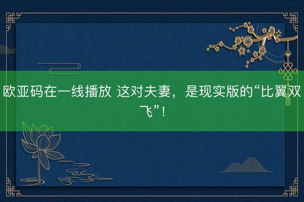 欧亚码在一线播放 这对夫妻，是现实版的“比翼双飞”！