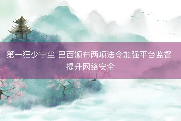 第一狂少宁尘 巴西颁布两项法令加强平台监督 提升网络安全