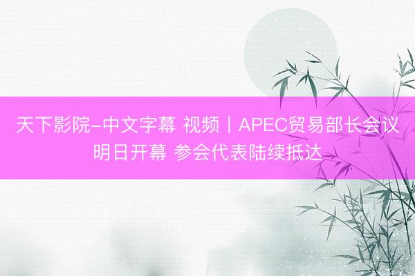 天下影院-中文字幕 视频丨APEC贸易部长会议明日开幕 参会代表陆续抵达