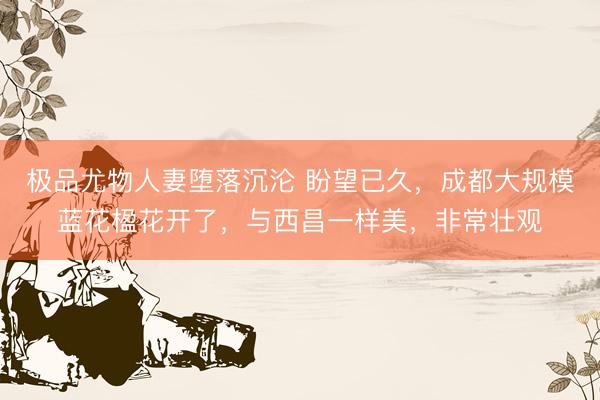 极品尤物人妻堕落沉沦 盼望已久，成都大规模蓝花楹花开了，与西昌一样美，非常壮观