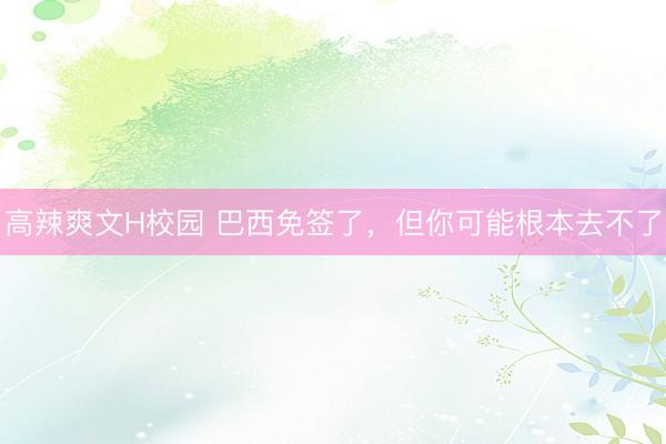 高辣爽文H校园 巴西免签了,但你可能根本去不了
