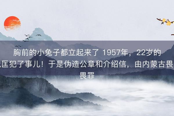 胸前的小兔子都立起来了 1957年,22岁的倪匡犯了事儿!于是伪造公章和介绍信,由内蒙古畏罪
