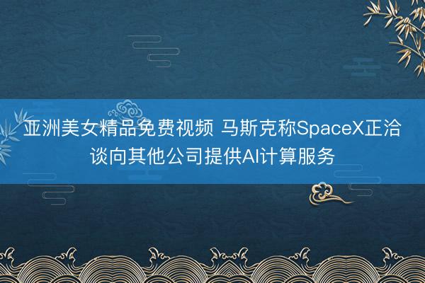 亚洲美女精品免费视频 马斯克称SpaceX正洽谈向其他公司提供AI计算服务