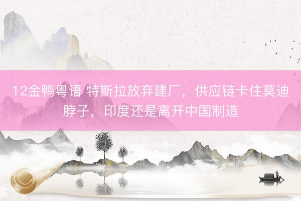 12金鸭粤语 特斯拉放弃建厂，供应链卡住莫迪脖子，印度还是离开中国制造