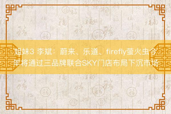 姐妹3 李斌:蔚来、乐道、firefly萤火虫今年将通过三品牌联合SKY门店布局下沉市场