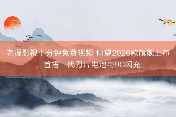老湿影视十分钟免费视频 仰望2026款旗舰上市,首搭二代刀片电池与9C闪充