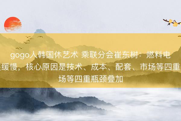 gogo人韩国休艺术 乘联分会崔东树：燃料电池车发展缓慢，核心原因是技术、成本、配套、市场等四重瓶颈叠加