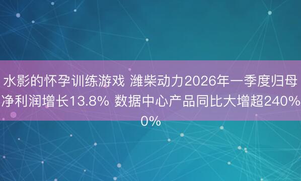 水影的怀孕训练游戏 潍柴动力2026年一季度归母净利润增长13.8% 数据中心产品同比大增超240%
