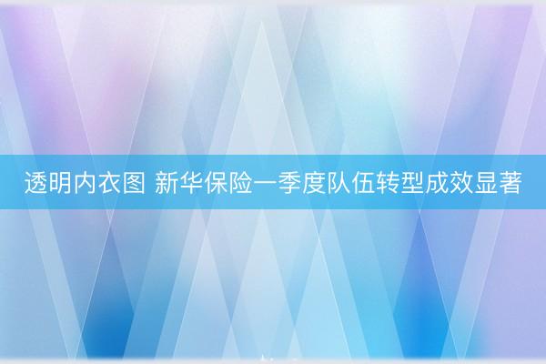 透明内衣图 新华保险一季度队伍转型成效显著