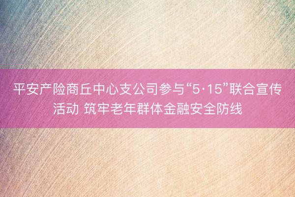 平安产险商丘中心支公司参与“5·15”联合宣传活动 筑牢老年群体金融安全防线