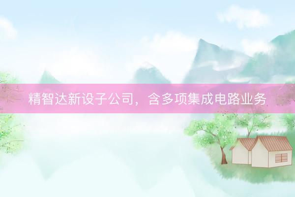 精智达新设子公司，含多项集成电路业务