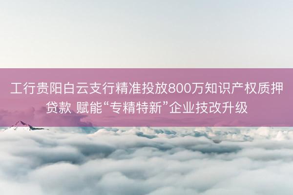 工行贵阳白云支行精准投放800万知识产权质押贷款 赋能“专精特新”企业技改升级