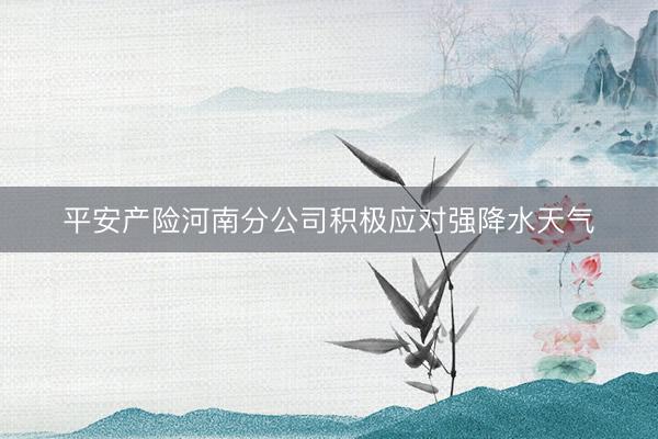 平安产险河南分公司积极应对强降水天气