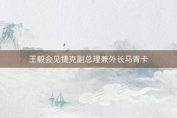 王毅会见捷克副总理兼外长马青卡