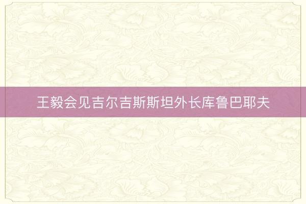 王毅会见吉尔吉斯斯坦外长库鲁巴耶夫