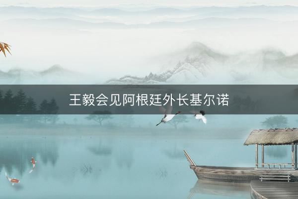 王毅会见阿根廷外长基尔诺
