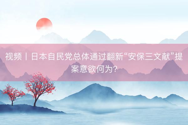 视频丨日本自民党总体通过翻新“安保三文献”提案意欲何为？