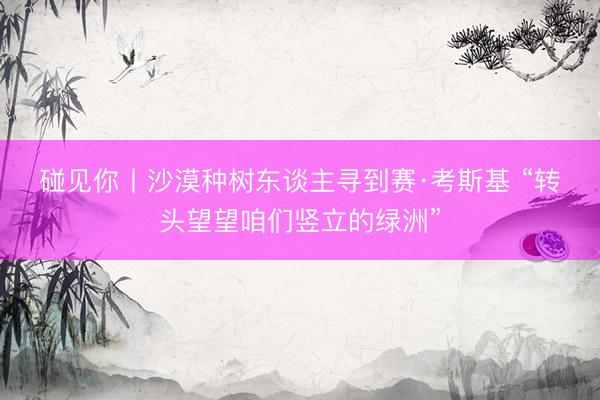 碰见你丨沙漠种树东谈主寻到赛·考斯基 “转头望望咱们竖立的绿洲”