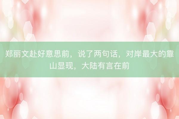 郑丽文赴好意思前,说了两句话,对岸最大的靠山显现,大陆有言在前