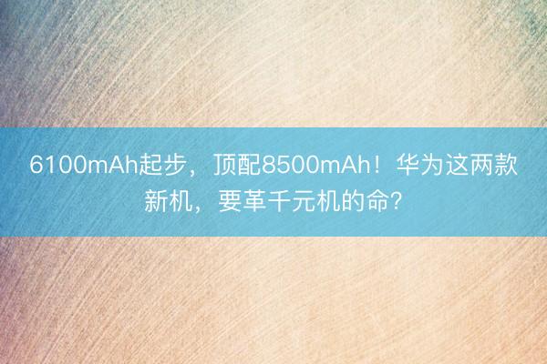 6100mAh起步，顶配8500mAh！华为这两款新机，要革千元机的命？