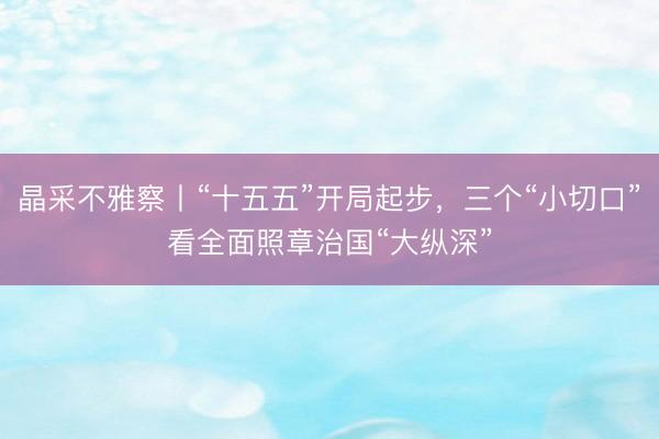 晶采不雅察丨“十五五”开局起步，三个“小切口”看全面照章治国“大纵深”