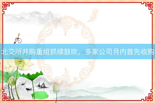 北交所并购重组抓续鼓吹，多家公司月内首先收购