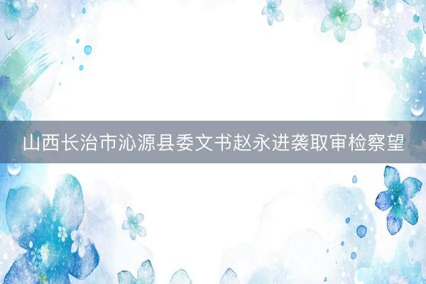山西长治市沁源县委文书赵永进袭取审检察望