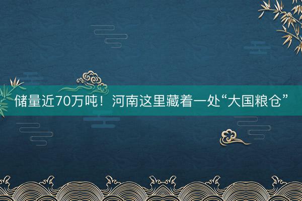 储量近70万吨！河南这里藏着一处“大国粮仓”