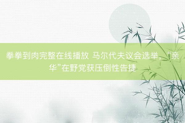 拳拳到肉完整在线播放 马尔代夫议会选举，“亲华”在野党获压倒性告捷