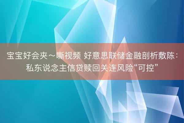 宝宝好会夹～嘶视频 好意思联储金融剖析敷陈：私东说念主信贷赎回关连风险“可控”