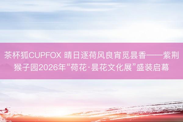 茶杯狐CUPFOX 晴日逐荷风良宵觅昙香——紫荆猴子园2026年“荷花·昙花文化展”盛装启幕