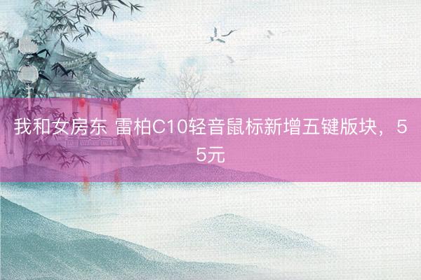 我和女房东 雷柏C10轻音鼠标新增五键版块，55元