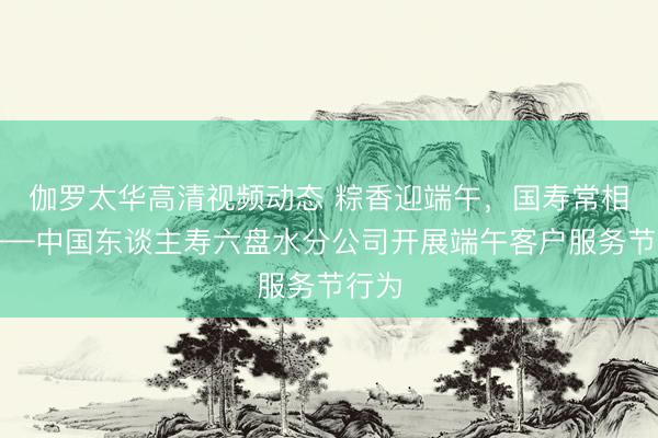 伽罗太华高清视频动态 粽香迎端午，国寿常相伴——中国东谈主寿六盘水分公司开展端午客户服务节行为