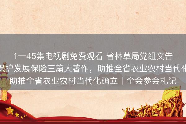 1—45集电视剧免费观看 省林草局党组文告、局长荣全:作念好保护发展保险三篇大著作,助推全省农业农村当代化确立丨全会参会札记