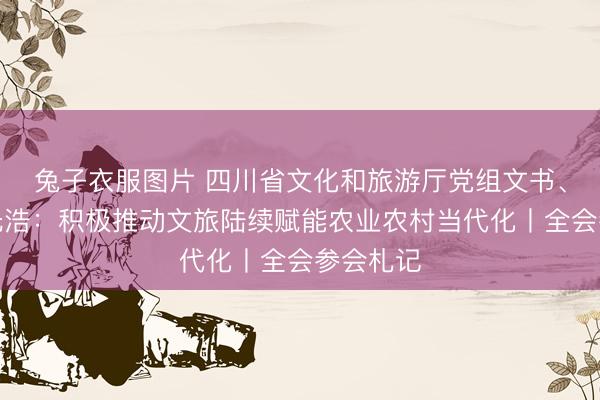 兔子衣服图片 四川省文化和旅游厅党组文书、厅长陈光浩:积极推动文旅陆续赋能农业农村当代化丨全会参会札记