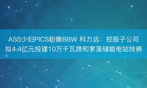 ASS少妇PICS粉嫩BBW 科力远：控股子公司拟4.4亿元投建10万千瓦搀和寥落储能电站技俩